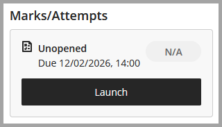 Screenshot of Launch button to go to Turnitin assignment dashboard