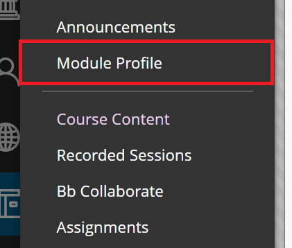 The Module Profile menu item highlighted in a red box.