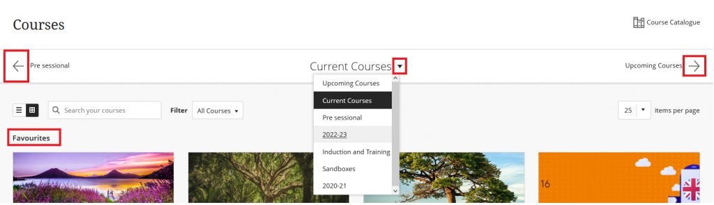 Screenshot of a Blackboard courses page with navigation and headings highlighted in red boxes.
