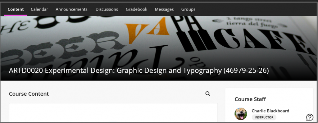 The course image appears at the top of the Course Content page. 