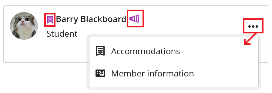 Screenshot of a student profile card in ultra with the ellipsis ... menu expanded. The student accommodation flag and name pronunciation icons to the left and right of the student name are also highlighted.