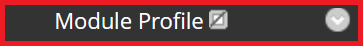 Screenshot of Module Profile on a course menu. There is a grey box with a line through next to the word profile. This indicates that the menu item is not visible to students.