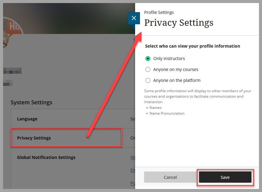 Screenshot of Privacy Settings showing the options for you can view your profile information