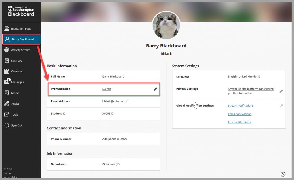 Screenshot of Blackboard Profile page showing how to get from Name to Pronunciation settings.