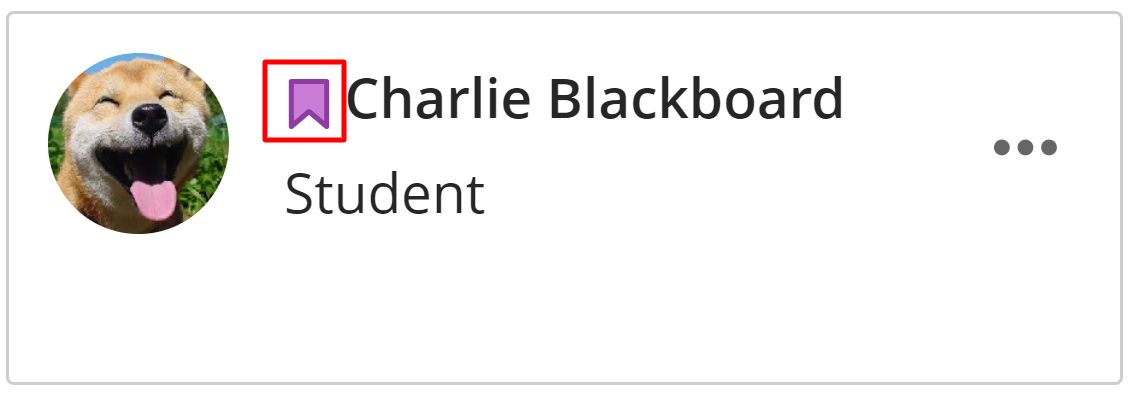 Students with Accomodations added with be indicated in the Class Register and Gradebook.