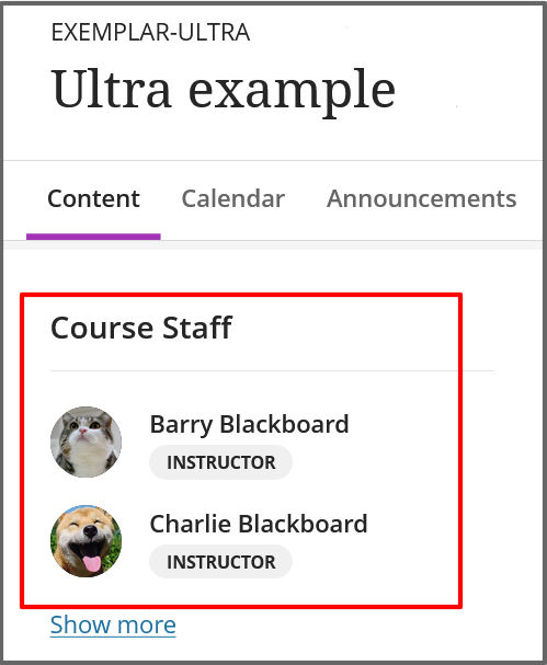 Any course Instructors will appear in the Course Staff list and this is visible to students.