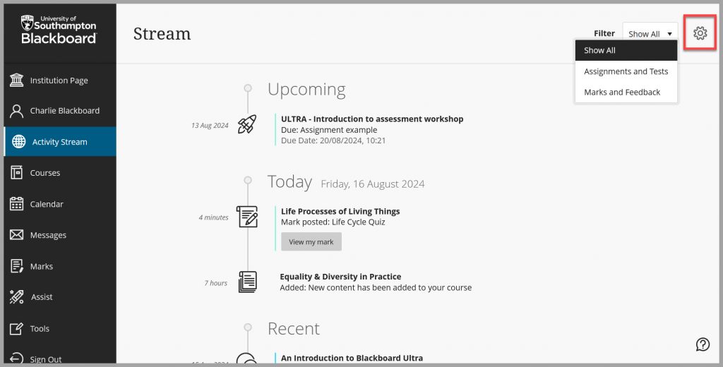 Screenshot of Activity Stream view in Blackboard showing settings cog in the top right hand corner and show all options.