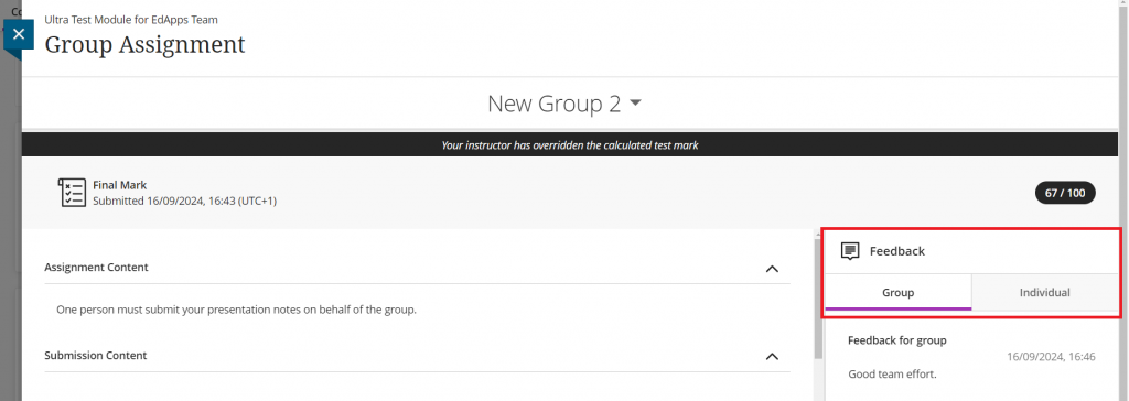 Screenshot of group assignment submission page. The feedback panel is highlighted, showing the different tabs for Group and Individual.