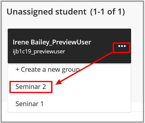 Select the options next to your PreviewUser in the list of unassigned students. Select the Group to add them to.