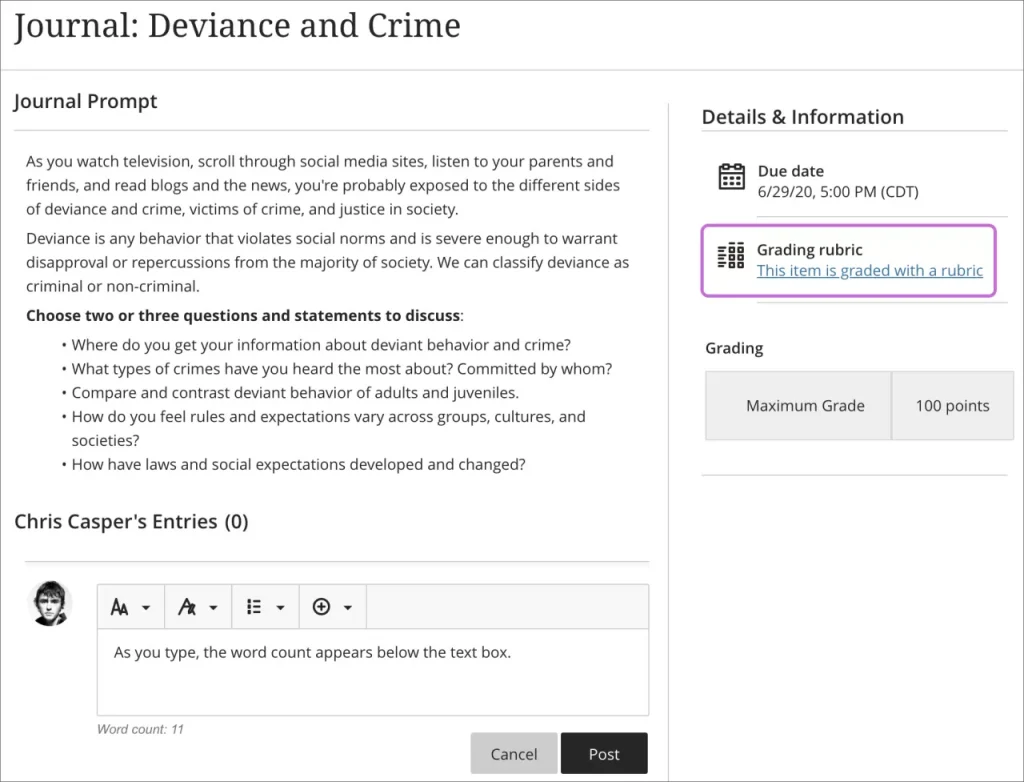 A student view of a journal. There is a due date and rubric on the right-hand side under the details and information menu.