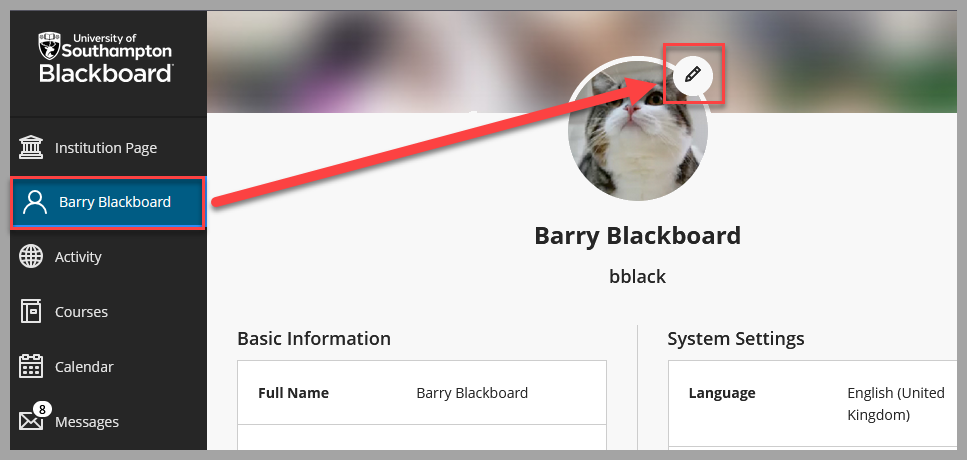 Screenshot of Blackboard Profile page showing arrow from name to pen icon to access change profile picture options