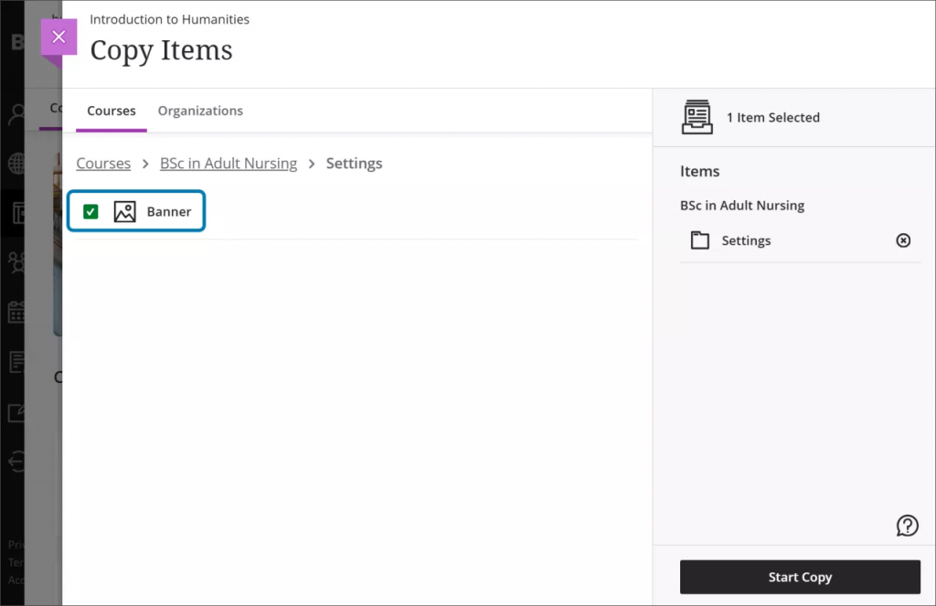 Screenshot of a Blackboard Ultra page showing copy items. The banner for the course is highlighted and the breadcrumb trail indicates this is in the settings area of a BSc in Adult Nursing course.