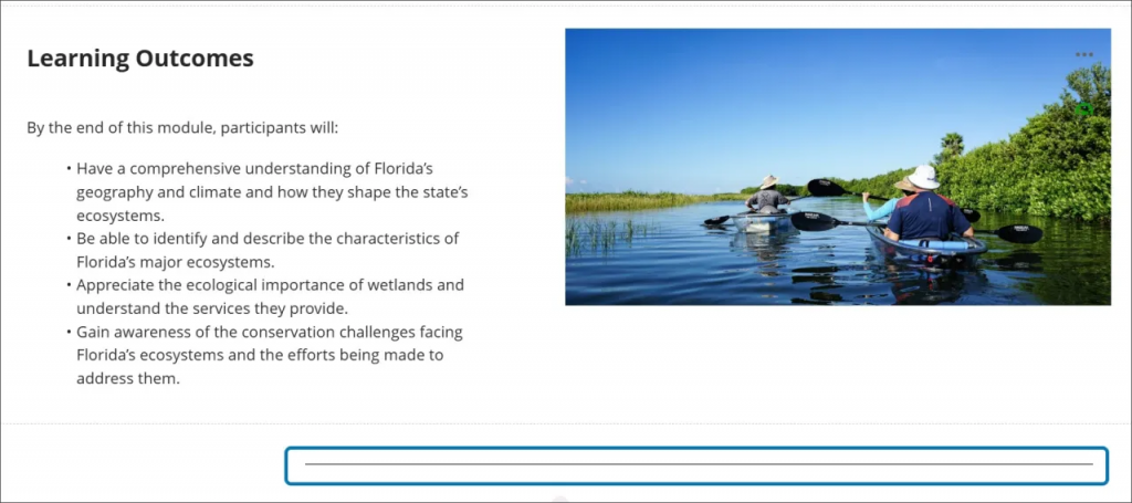 An Ultra document with a divider below some text and an image. The divider is aligned to the right across 3 sections.
